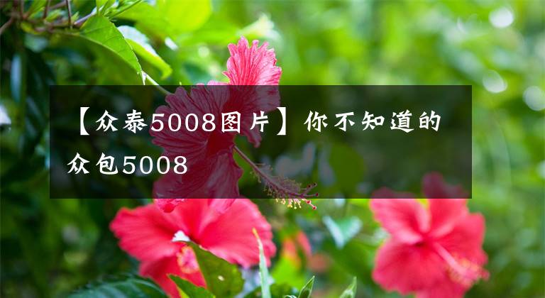 【众泰5008图片】你不知道的众包5008