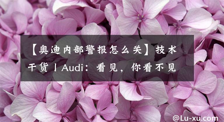 【奥迪内部警报怎么关】技术干货丨Audi：看见，你看不见的