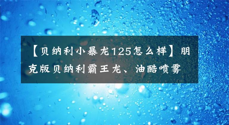 【贝纳利小暴龙125怎么样】朋克版贝纳利霸王龙、油酷喷雾真空胎、万元级经典迷你复古