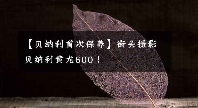 【贝纳利首次保养】街头摄影贝纳利黄龙600!