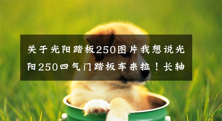 关于光阳踏板250图片我想说光阳250四气门踏板车来拉!长轴距龙骨车架,外观运动,配置丰富