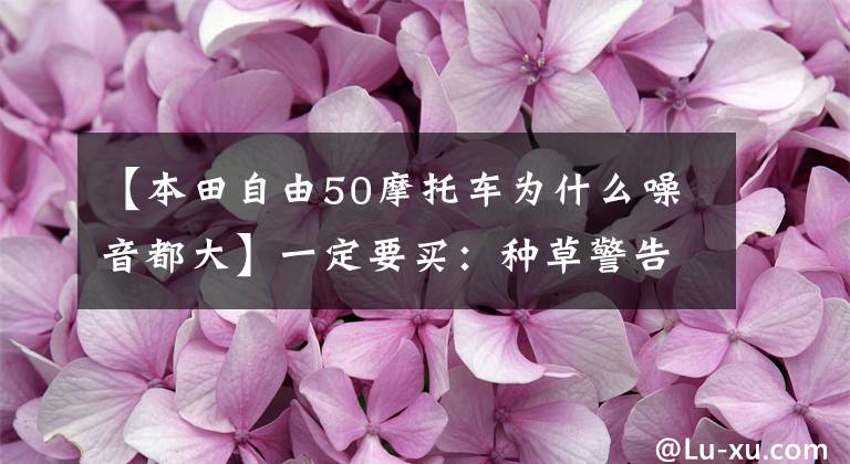 【本田自由50摩托车为什么噪音都大】一定要买:种草警告!提高幸福感的十大科技产品