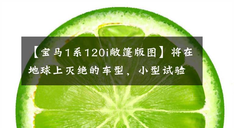 【宝马1系120i敞篷版图】将在地球上灭绝的车型，小型试验进口宝马120i  |母车