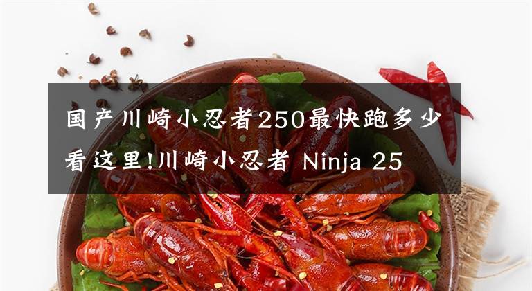 国产川崎小忍者250最快跑多少看这里!川崎小忍者 Ninja 250 怎么样?想买的看进来
