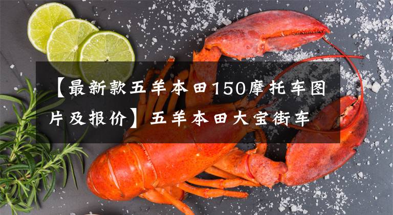 【最新款五羊本田150摩托车图片及报价】五羊本田大宝街车雄150,造型经典,续航450公里,销售8800元。