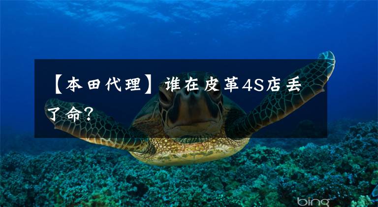 【本田代理】谁在皮革4S店丢了命?