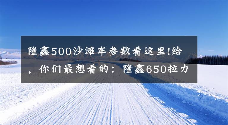 隆鑫500沙滩车参数看这里!给,你们最想看的:隆鑫650拉力车和隆鑫500街车
