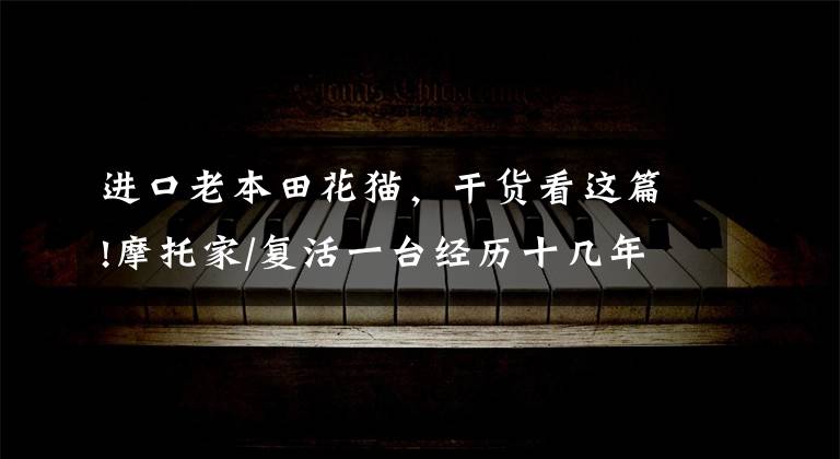 进口老本田花猫，干货看这篇!摩托家/复活一台经历十几年风雨的五羊125是怎样的体验