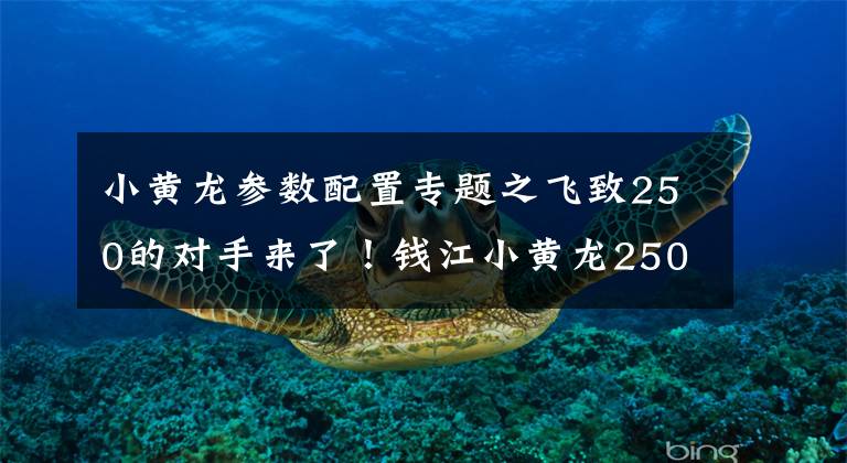 小黄龙参数配置专题之飞致250的对手来了!钱江小黄龙250官方售价公布1.78万
