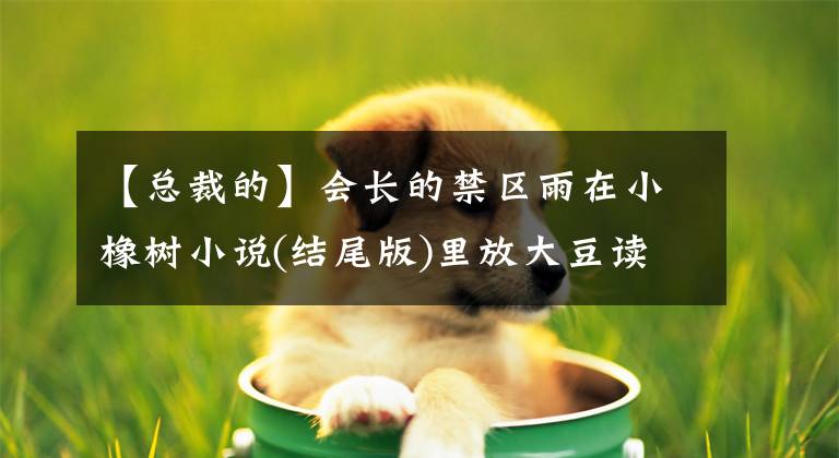 【总裁的】会长的禁区雨在小橡树小说(结尾版)里放大豆读全文。