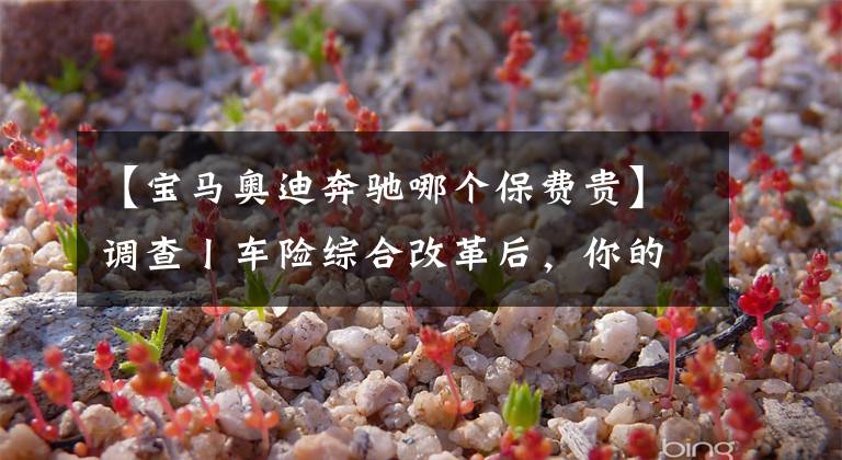 【宝马奥迪奔驰哪个保费贵】调查丨车险综合改革后，你的保费为何不降反涨？