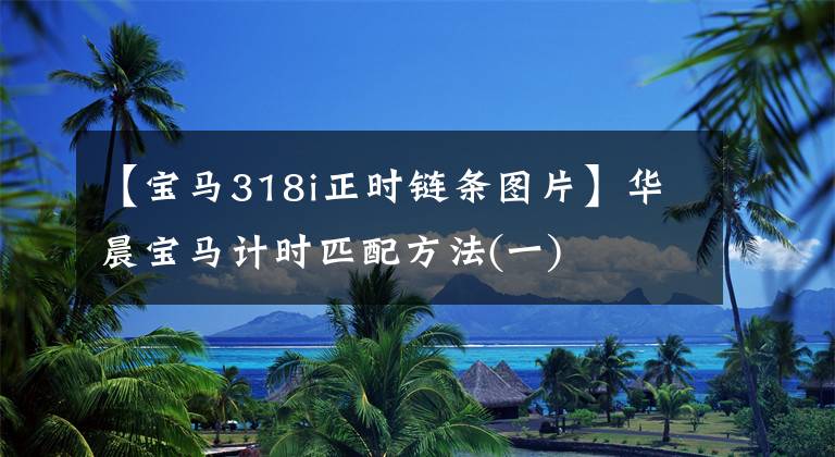 【宝马318i正时链条图片】华晨宝马计时匹配方法(一)
