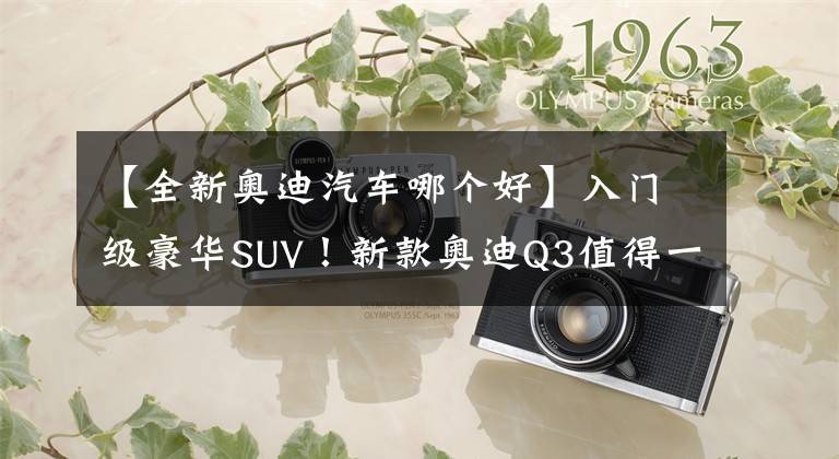 【全新奥迪汽车哪个好】入门级豪华SUV！新款奥迪Q3值得一看，内饰轻奢号称“小Q8”