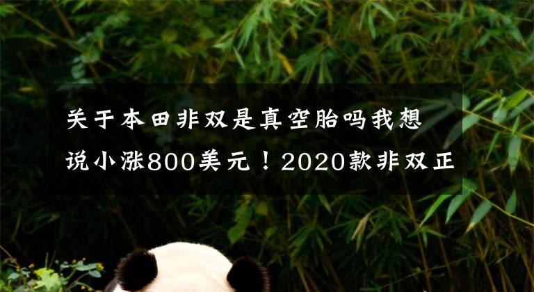 关于本田非双是真空胎吗我想说小涨800美元！2020款非双正式发布