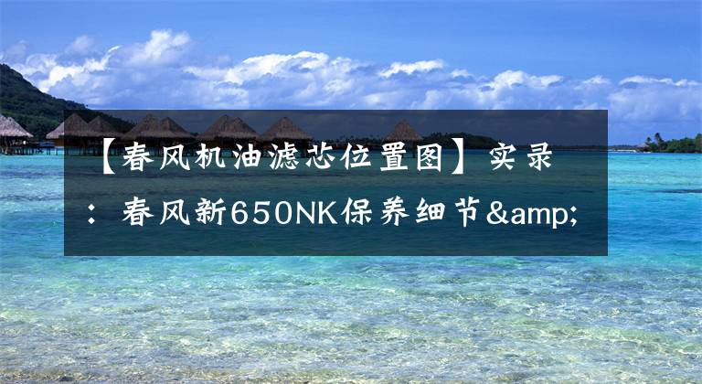 【春风机油滤芯位置图】实录:春风新650NK保养细节&夜间灯效