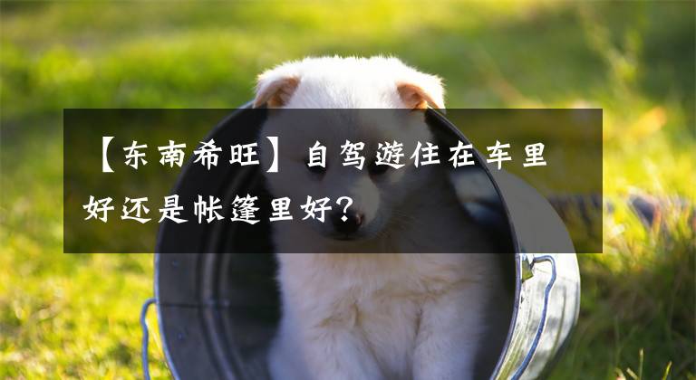 【东南希旺】自驾游住在车里好还是帐篷里好？