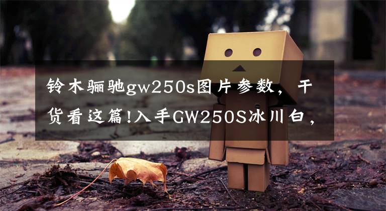 铃木骊驰gw250s图片参数，干货看这篇!入手GW250S冰川白，重燃激情，祭奠已逝的青春