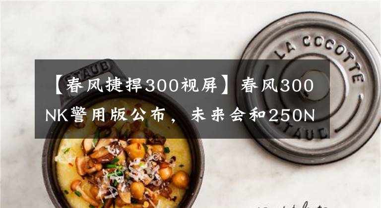 【春风捷捍300视屏】春风300NK警用版公布,未来会和250NK同步市售么?