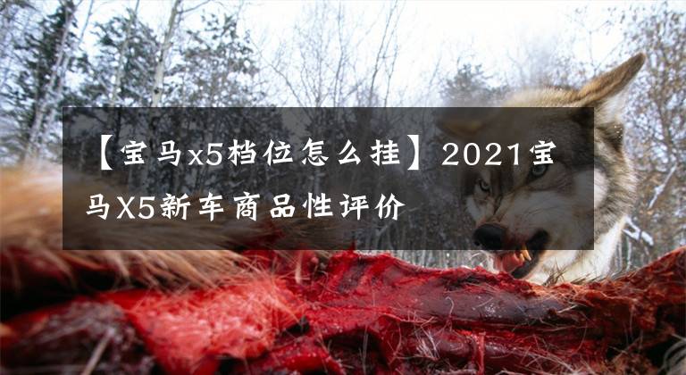 【宝马x5档位怎么挂】2021宝马X5新车商品性评价