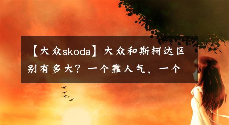 【大众skoda】大众和斯柯达区别有多大?一个靠人气,一个靠技术
