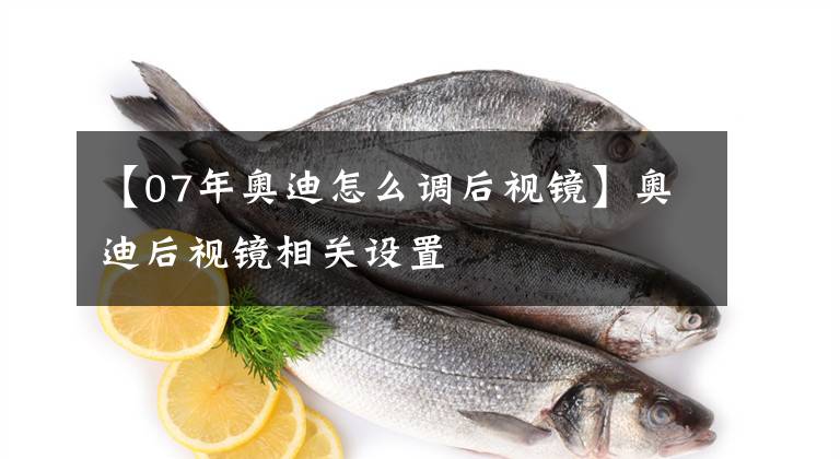 【07年奥迪怎么调后视镜】奥迪后视镜相关设置