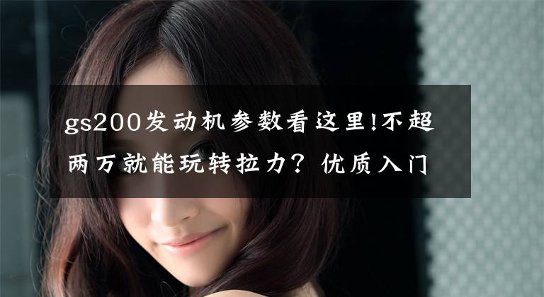 gs200发动机参数看这里!不超两万就能玩转拉力?优质入门拉力车型推荐丨视界