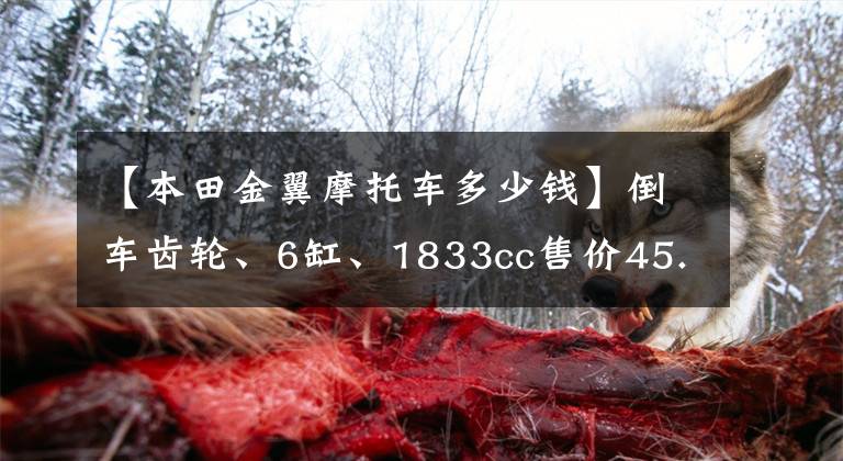 【本田金翼摩托车多少钱】倒车齿轮、6缸、1833cc售价45.8万的本田金翼是一种怎么样的体验!