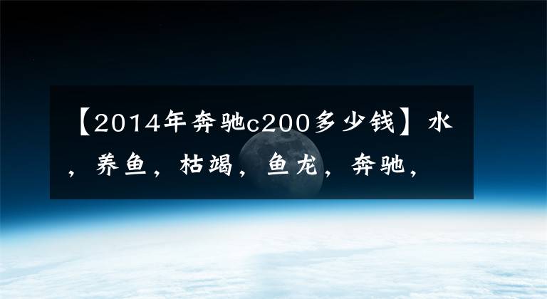 【2014年奔驰c200多少钱】水,养鱼,枯竭,鱼龙,奔驰,新的C级售价。