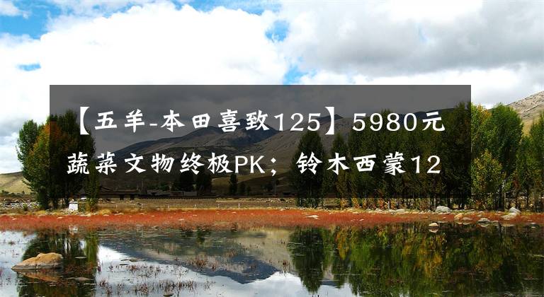 【五羊-本田喜致125】5980元蔬菜文物终极PK；铃木西蒙125辆本田喜驰125(第二部分)