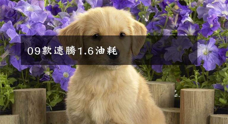 09款速腾1.6油耗