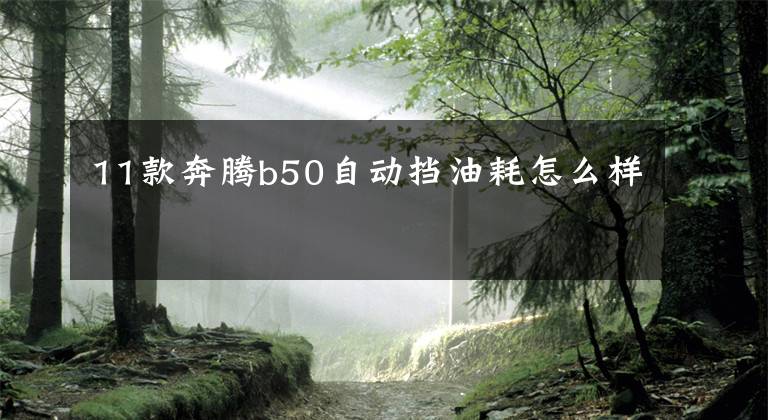 11款奔腾b50自动挡油耗怎么样