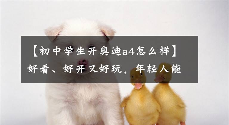 【初中学生开奥迪a4怎么样】好看、好开又好玩,年轻人能抵得住全新奥迪A4L的诱惑吗?