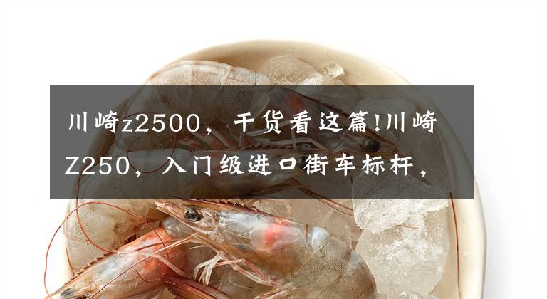 川崎z2500，干货看这篇!川崎Z250，入门级进口街车标杆，为Z400让路大优惠，抄底好时机