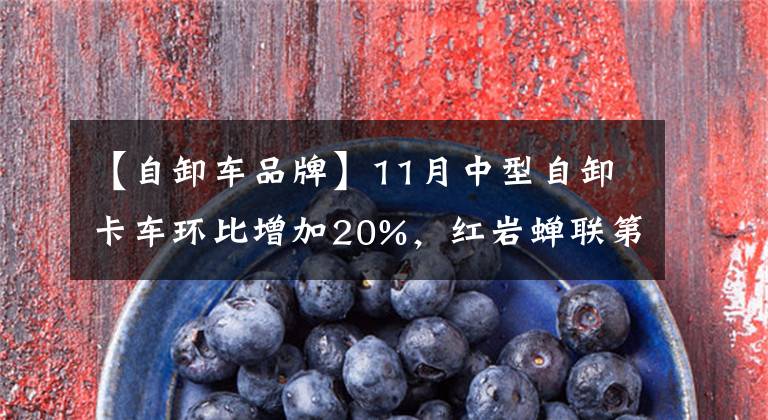 【自卸车品牌】11月中型自卸卡车环比增加20%,红岩蝉联第一的重汽上升前三名还有谁在上升?