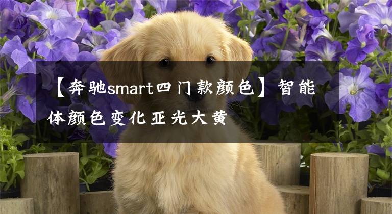【奔驰smart四门款颜色】智能体颜色变化亚光大黄