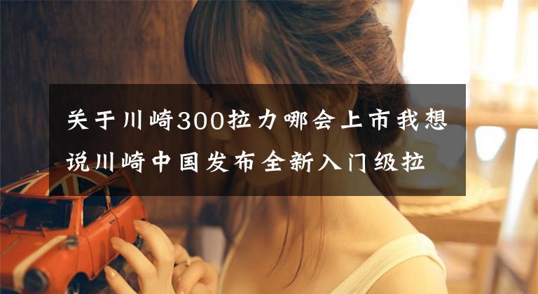 关于川崎300拉力哪会上市我想说川崎中国发布全新入门级拉力车Versys-X300售价:47500元起