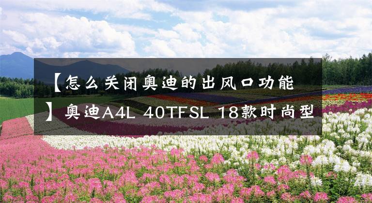 【怎么关闭奥迪的出风口功能】奥迪A4L 40TFSL 18款时尚型 功能按键说明(有用干货)