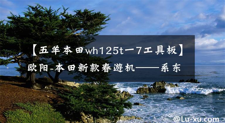【五羊本田wh125t一7工具板】欧阳-本田新款春游机——系东南第一杆挑战