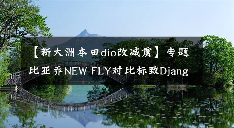 【新大洲本田dio改减震】专题比亚乔NEW FLY对比标致Django