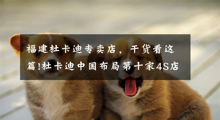 福建杜卡迪专卖店，干货看这篇!杜卡迪中国布局第十家4S店，善骑杜卡迪上海店开业