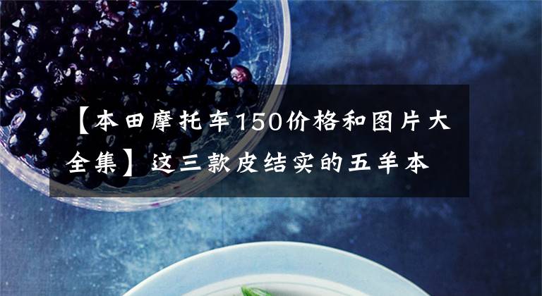 【本田摩托车150价格和图片大全集】这三款皮结实的五羊本田150摩托车,你买得好吗?