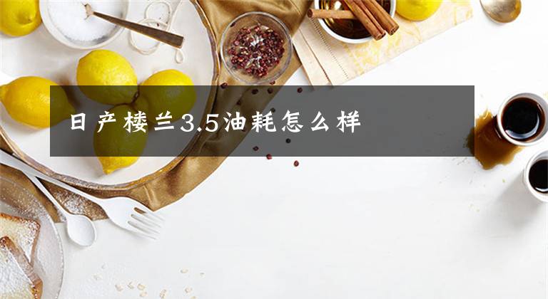 日产楼兰3.5油耗怎么样