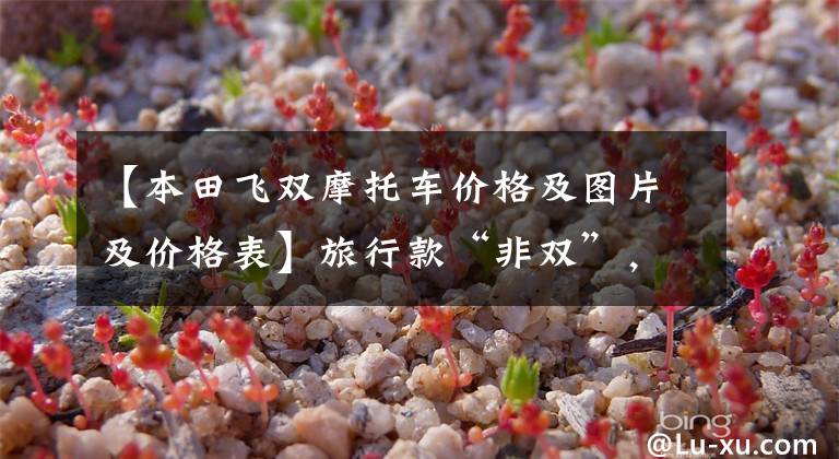 【本田飞双摩托车价格及图片及价格表】旅行款“非双”，本田中国正式发布运动旅行车NT1100售价199000元