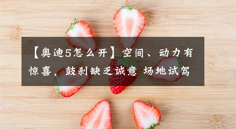 【奥迪5怎么开】空间、动力有惊喜,鼓刹缺乏诚意 场地试驾奥迪Q5 e-tron