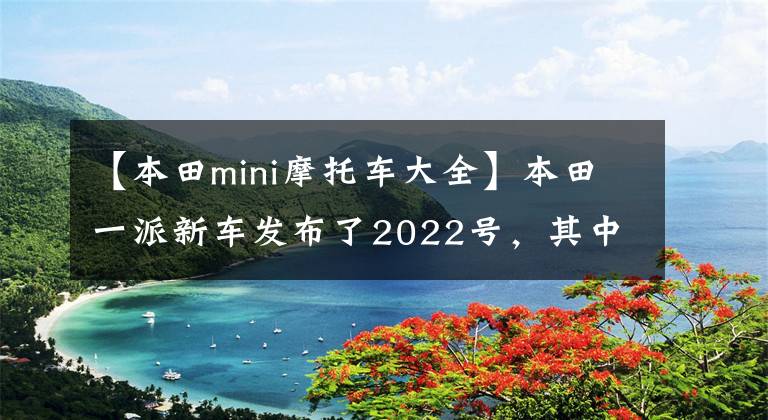 【本田mini摩托车大全】本田一派新车发布了2022号,其中包括传奇太子四斗750、迷你猴子125