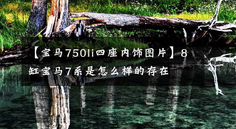 【宝马750li四座内饰图片】8缸宝马7系是怎么样的存在