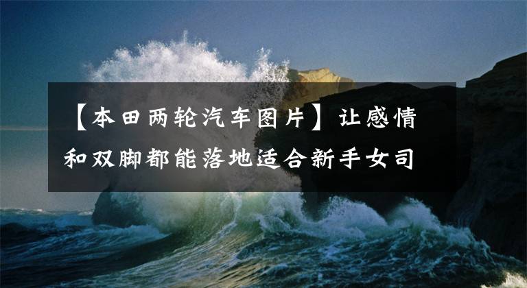 【本田两轮汽车图片】让感情和双脚都能落地适合新手女司机的四辆车。
