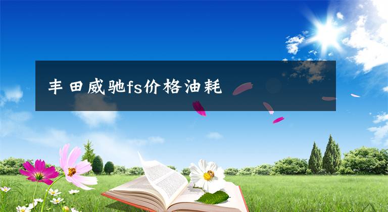 丰田威驰fs价格油耗