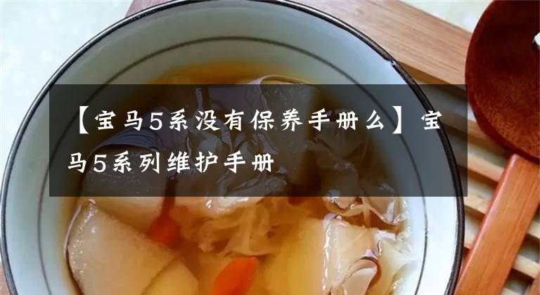 【宝马5系没有保养手册么】宝马5系列维护手册