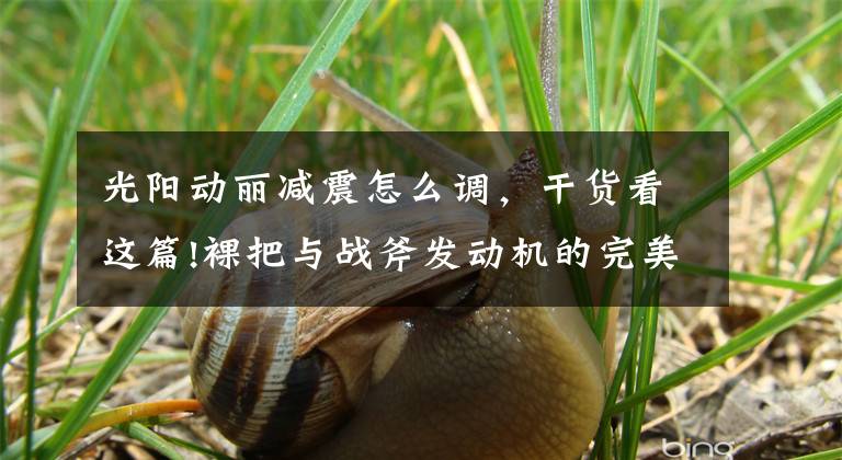 光阳动丽减震怎么调，干货看这篇!裸把与战斧发动机的完美组合 光阳动丽G150实拍